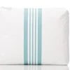 Aloha Small Linen Stripe Pouch In Bleu/White Women's